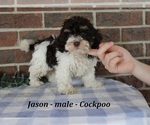 Image preview for Ad Listing. Nickname: Jason