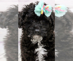 Image preview for Ad Listing. Nickname: Gabbi