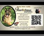 Small #4 German Shepherd Dog