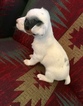 Small Photo #4 Jack Russell Terrier Puppy For Sale in REBERSBURG, PA, USA