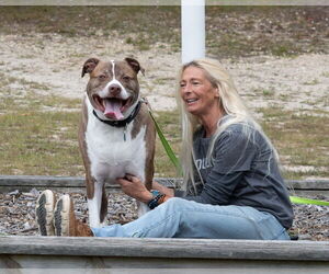 FERGAL aka RAMBO - Male Mutt Dog for Adoption - Photo #31