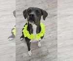 Small #1 Breeder Profile image