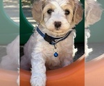 Image preview for Ad Listing. Nickname: Jax