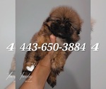 Image preview for Ad Listing. Nickname: Chewi
