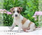 Small #2 Jack Tzu
