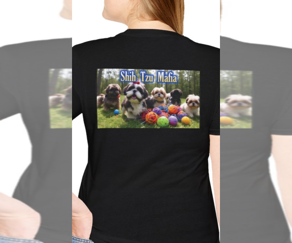Medium Photo #7 Shih Tzu Puppy For Sale in FANNING SPGS, FL, USA