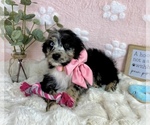 Image preview for Ad Listing. Nickname: Bailey