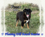 Image preview for Ad Listing. Nickname: Punx