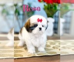 Image preview for Ad Listing. Nickname: Rose