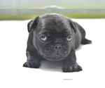 Image preview for Ad Listing. Nickname: Daphne
