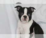 Image preview for Ad Listing. Nickname: Luca