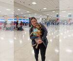 Small #1 Labrador Retriever Mix
