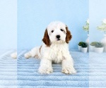 Image preview for Ad Listing. Nickname: Griffin