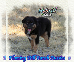 Image preview for Ad Listing. Nickname: Hybrid