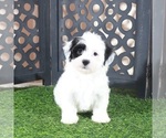 Image preview for Ad Listing. Nickname: Anamarie