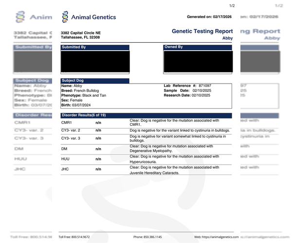 Medium Photo #58 French Bulldog Puppy For Sale in GOSHEN, IN, USA