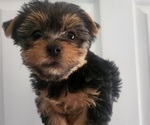 Image preview for Ad Listing. Nickname: Little lady