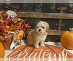 Image preview for Ad Listing. Nickname: Fred