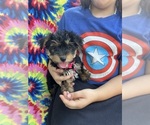 Image preview for Ad Listing. Nickname: Natalia