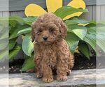Image preview for Ad Listing. Nickname: Casey