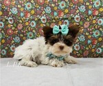 Image preview for Ad Listing. Nickname: Tiny Nadine