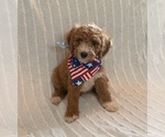 Image preview for Ad Listing. Nickname: MERICA