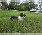 Image preview for Ad Listing. Nickname: Zoe