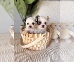 Image preview for Ad Listing. Nickname: Litter of 20