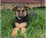 Image preview for Ad Listing. Nickname: Hazel