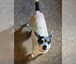 Small #3 Jack Chi