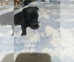 Image preview for Ad Listing. Nickname: hershery