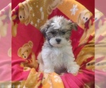 Image preview for Ad Listing. Nickname: Vivi