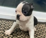 Image preview for Ad Listing. Nickname: LILO