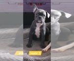 Image preview for Ad Listing. Nickname: Male