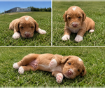 Image preview for Ad Listing. Nickname: Finn