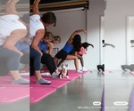 Small #2 French Bulldog