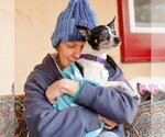 Small Photo #2 Rat Terrier Puppy For Sale in Ellijay, GA, USA