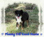 Image preview for Ad Listing. Nickname: Andie