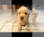 Image preview for Ad Listing. Nickname: Green Collar Bo