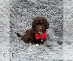 Image preview for Ad Listing. Nickname: Evan