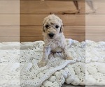 Image preview for Ad Listing. Nickname: Summer
