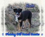 Image preview for Ad Listing. Nickname: Ruth