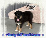 Image preview for Ad Listing. Nickname: Punx