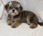 Image preview for Ad Listing. Nickname: Susie
