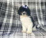 Image preview for Ad Listing. Nickname: Giselle