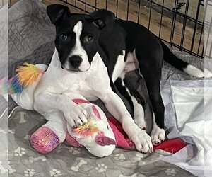 Main image of advertise