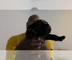 Puppy Puppy 2 Cane Corso