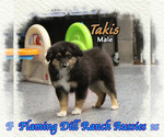 Image preview for Ad Listing. Nickname: Takis