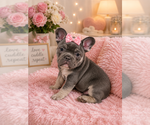 Image preview for Ad Listing. Nickname: Dolly