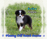Image preview for Ad Listing. Nickname: Asha